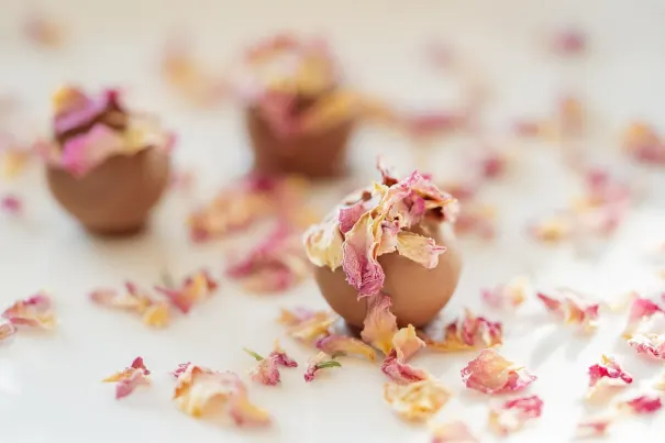 Andromeda Casino Android/iOS-app